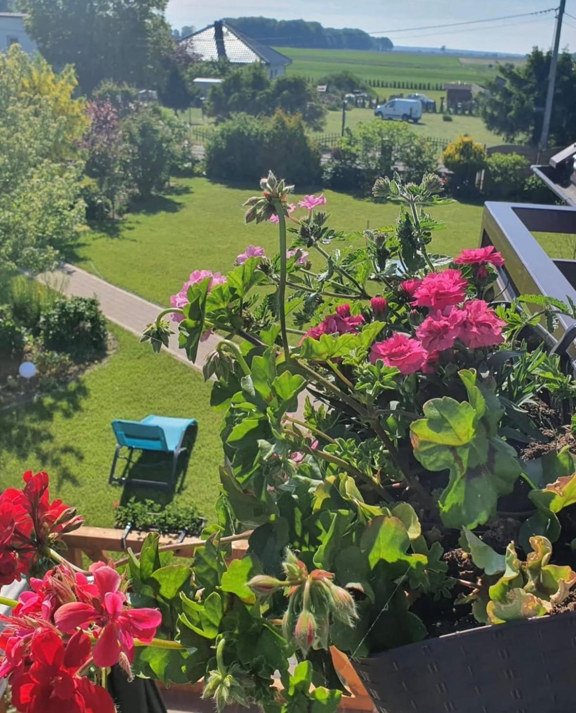 Apartamenty Na Baltyckiej Choczewo Экстерьер фото